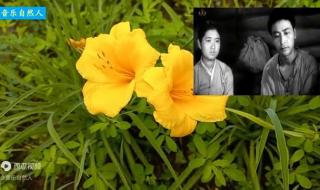 只要妈妈笑一笑 只要妈妈笑一笑